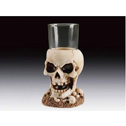 Everspring Import Company Skull Shot Glass New