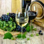 Copas de vino tinto y vino blanco en una mesa con uvas