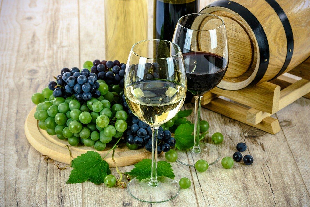 Â¿CuÃ¡les son los beneficios del vino segÃºn los estudios cientÃ­ficos?